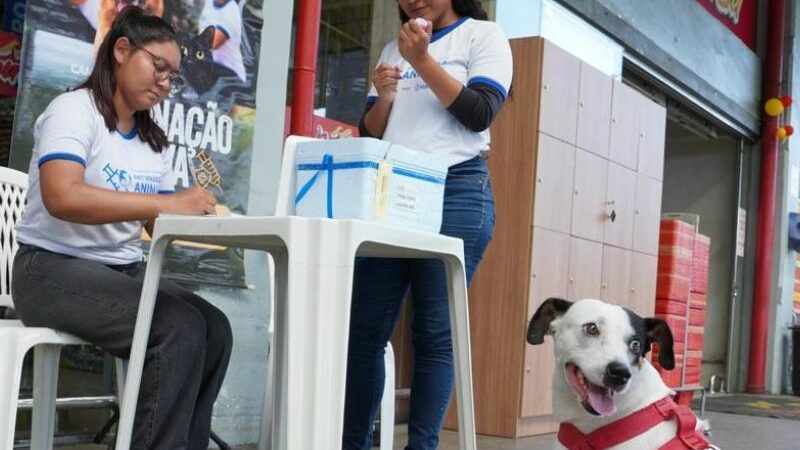 Confira a lista dos aprovados para vacinadores da campanha antirrábica 2025