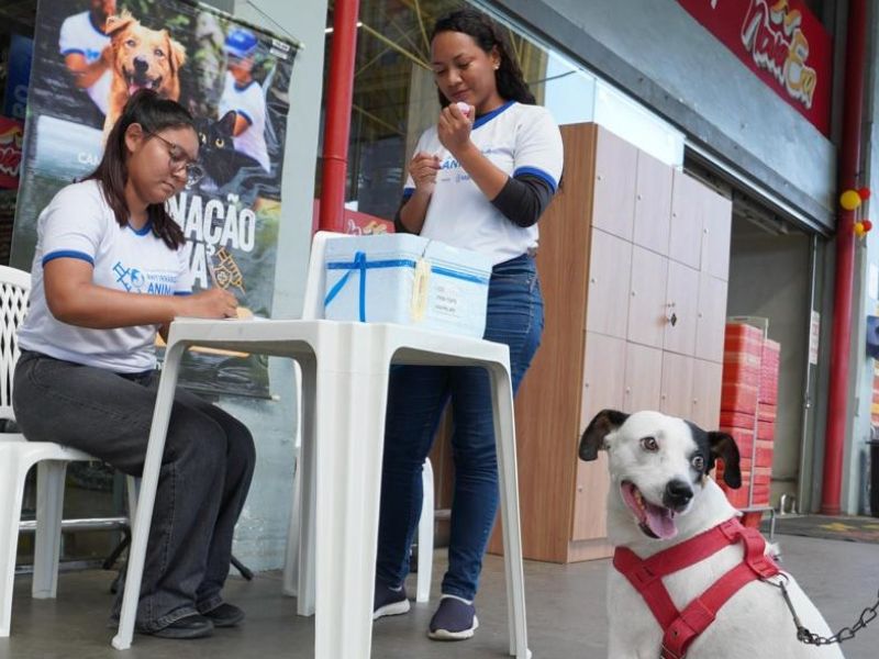 Confira a lista dos aprovados para vacinadores da campanha antirrábica 2025