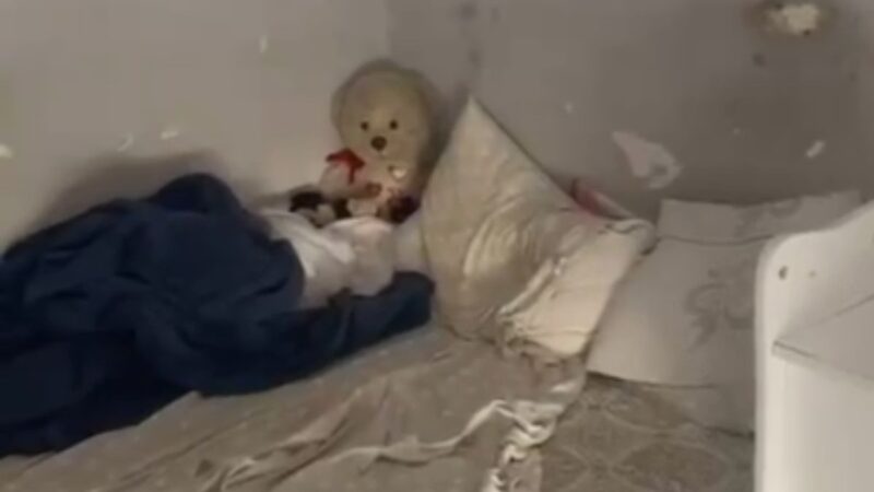 Criança resgatada de cárcere passava o dia vendo pornografia