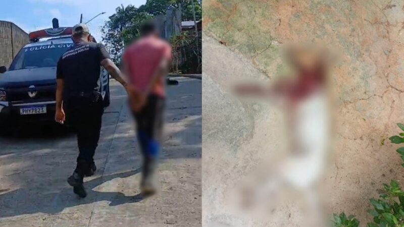 Homem é preso após esfaquear cachorro até a morte no AM