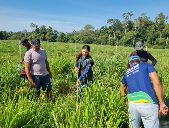 Idam leva capacitação em Boas Práticas no Manejo de Pastagem a produtores rurais de Novo Remanso