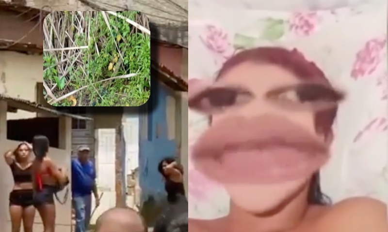 Jovem que foi filmada brigando na rua e se pronunciou nas redes sociais é encontrada morta; veja vídeos