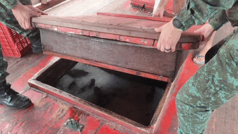 Cinco toneladas de pescado sem documentação foram apreendidas no Educandos