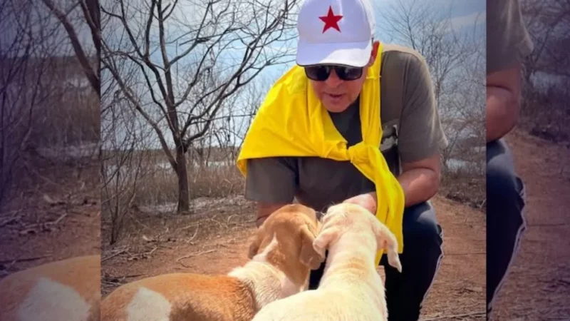 Deputado Ricardo Vale promove debate na CLDF por políticas públicas de proteção animal