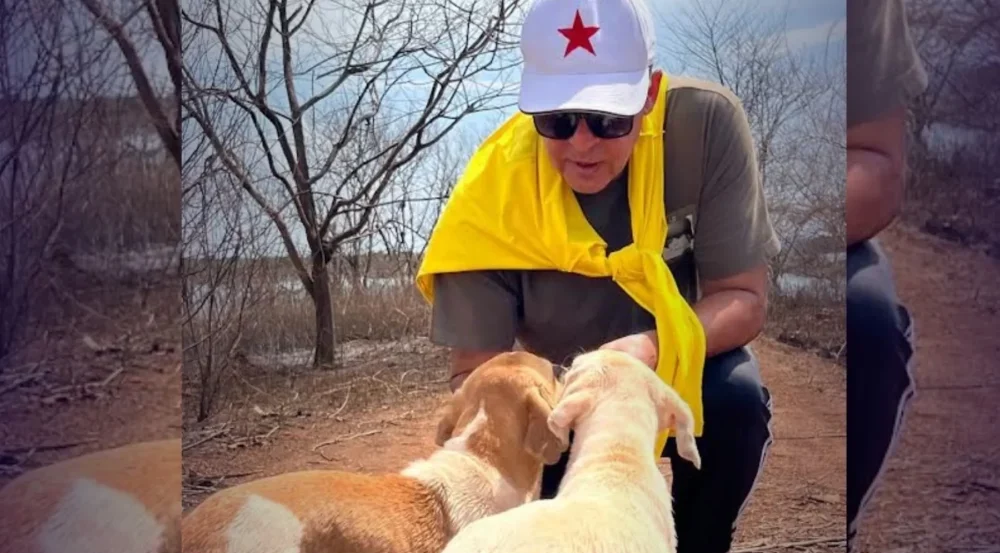 Deputado Ricardo Vale promove debate na CLDF por políticas públicas de proteção animal