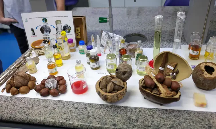 Inovação e biodiversidade impulsionam nova economia sustentável no Amazonas