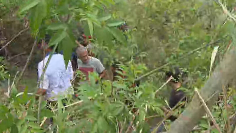 Moradores entram na mata e acham corpos após tiroteio no Complexo da Penha