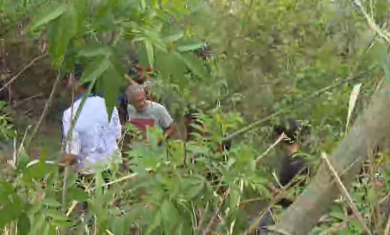 Moradores entram na mata e acham corpos após tiroteio no Complexo da Penha
