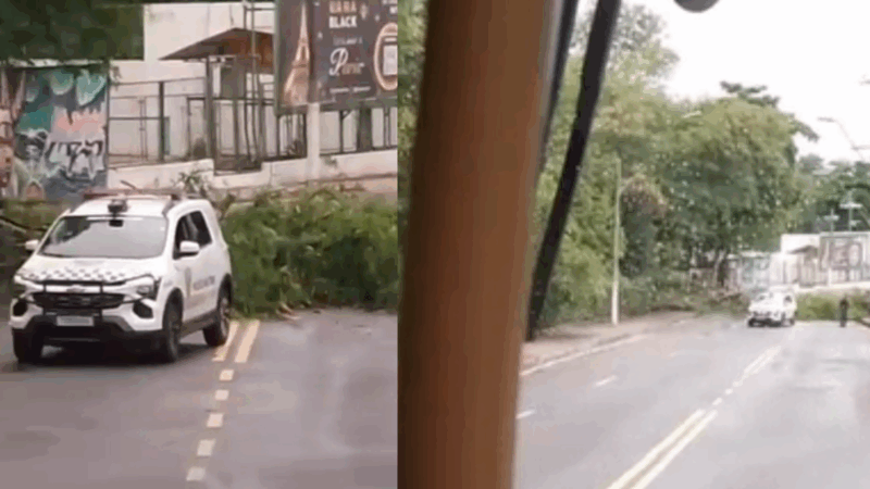 Árvore cai e impede trânsito de veículos na Avenida Maneca Marques, no Parque 10
