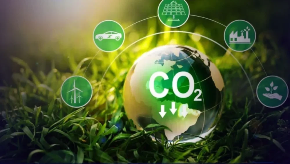 Cientistas brasileiros propõem meta de carbono zero até 2040 e nova economia climática
