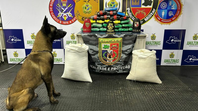 Com 38 toneladas apreendidas, Amazonas se consolida como 6º maior do Brasil no combate às drogas