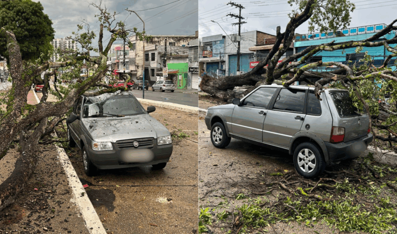 Com fortes chuvas, árvore cai em veículo na Constantino Nery