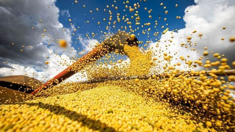 Dino suspende todos os processos no país sobre a Moratória da Soja