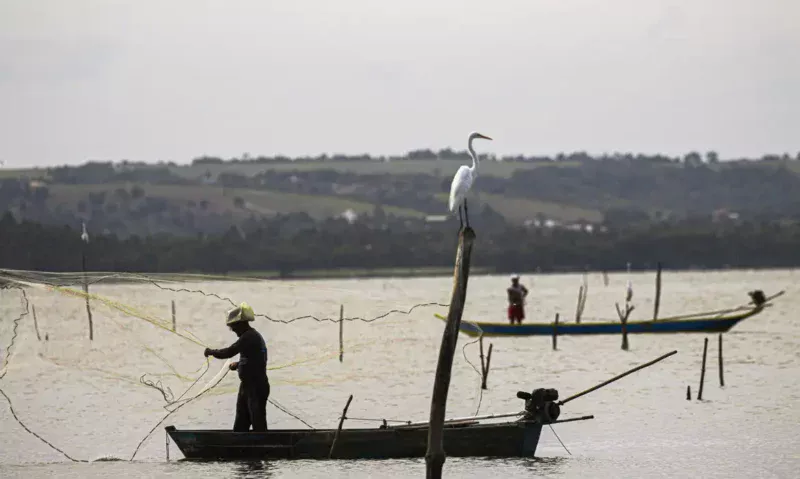 Ministério do Trabalho assume gestão do seguro-defeso