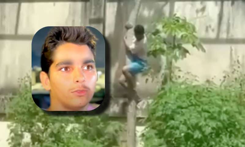 Saiba quem era ‘Vaqueirinho’, o jovem morto por leoa após invadir jaula de zoológico