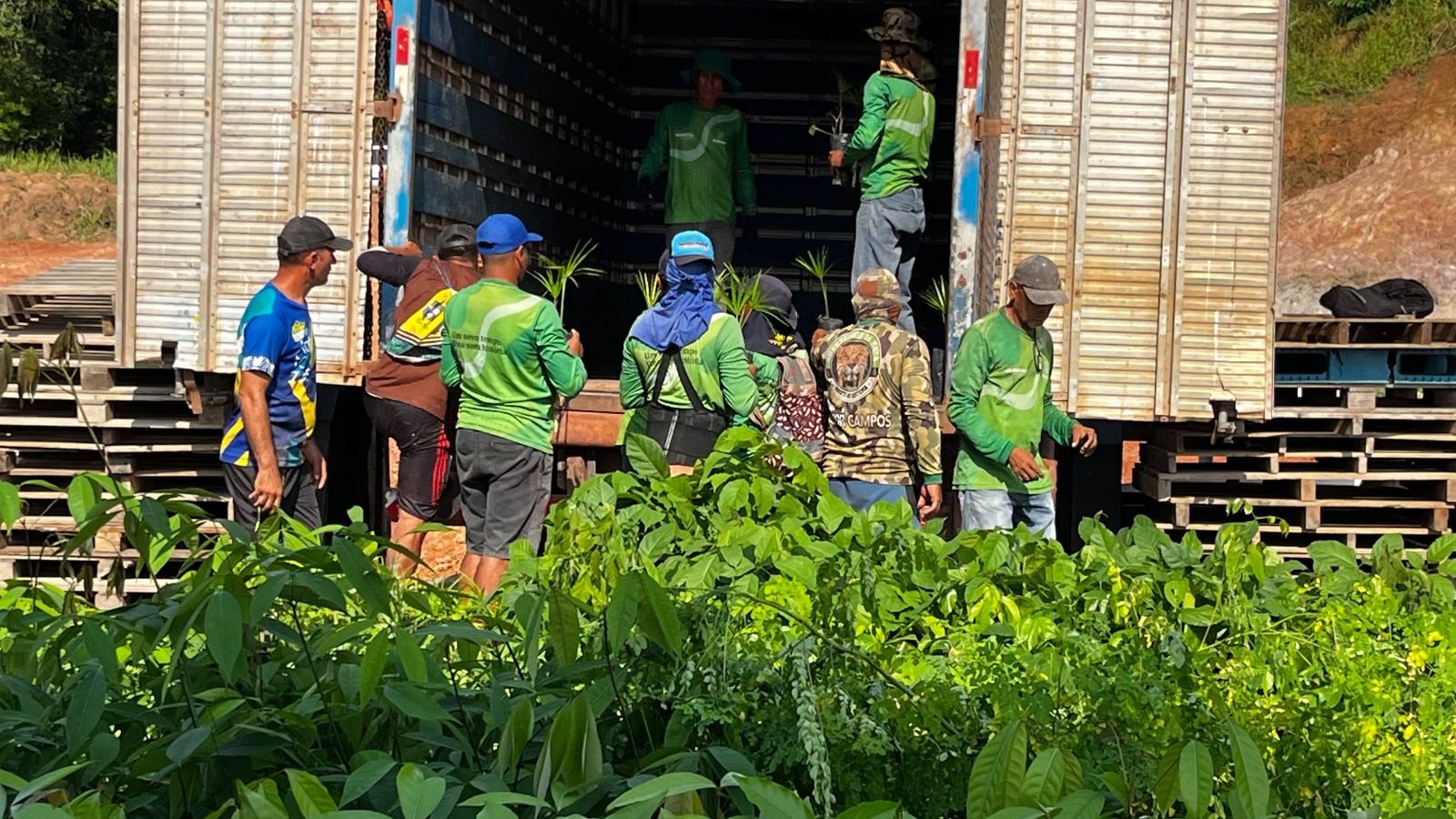 Potássio do Brasil doa dez mil mudas para projeto da Prefeitura de Autazes