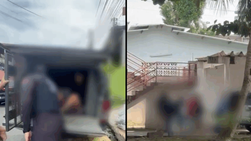 12 foragidos foram presos suspeitos de roubos e furtos de veículos no AM; VÍDEO