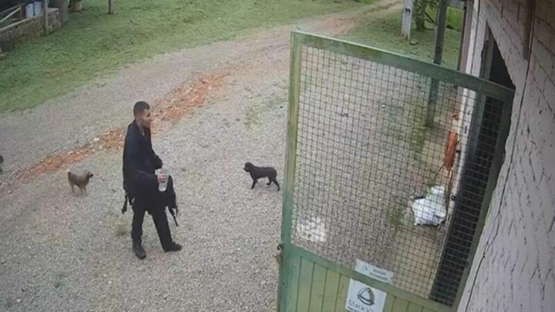Câmera registra momento que jovem perdido no Pico Paraná chega à fazenda