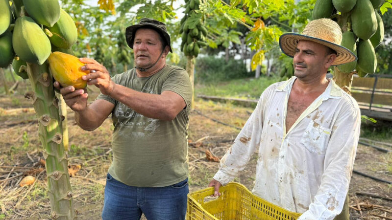 Prefeitura de Manaus e Ufam firmam acordo para capacitação de agricultores familiares
