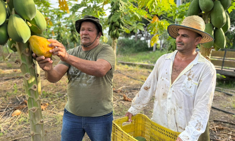 Prefeitura de Manaus e Ufam firmam acordo para capacitação de agricultores familiares