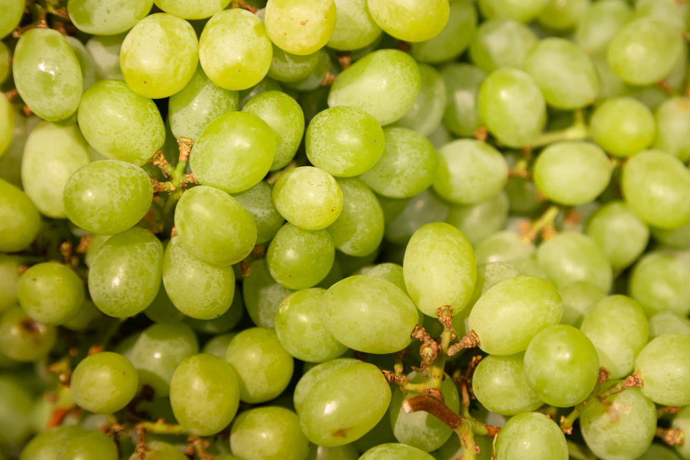 Uvas Verdes no Ano-Novo: Sete Motivos para Incluir a Fruta na Celebração