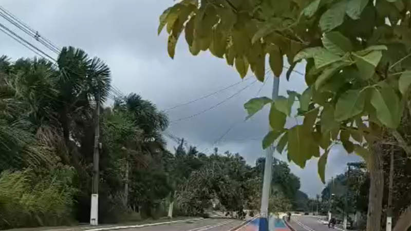 Árvore cai sobre rede elétrica após fortes ventos e deixa parte de Coari sem energia