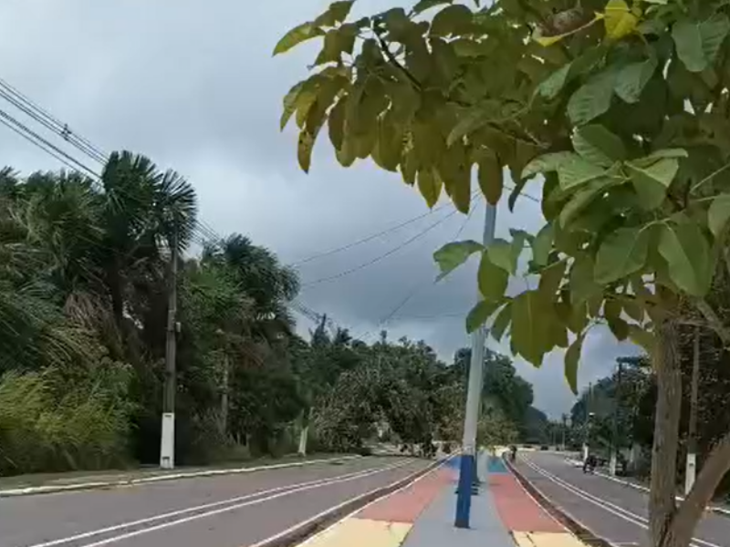 Árvore cai sobre rede elétrica após fortes ventos e deixa parte de Coari sem energia