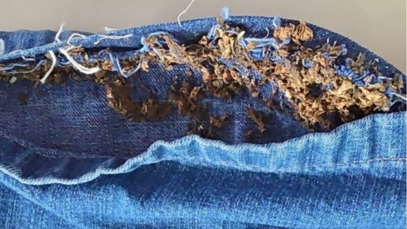 Irmãos tentam entrar em cadeia no Amazonas com drogas costuradas na roupa