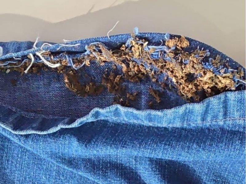 Irmãos tentam entrar em cadeia no Amazonas com drogas costuradas na roupa