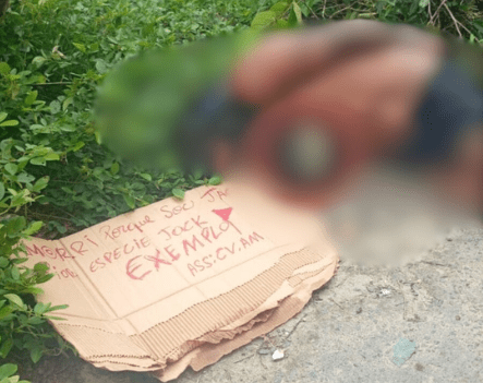 Suposto estuprador é executado pelo “Tribunal do Crime” no Puraquequara