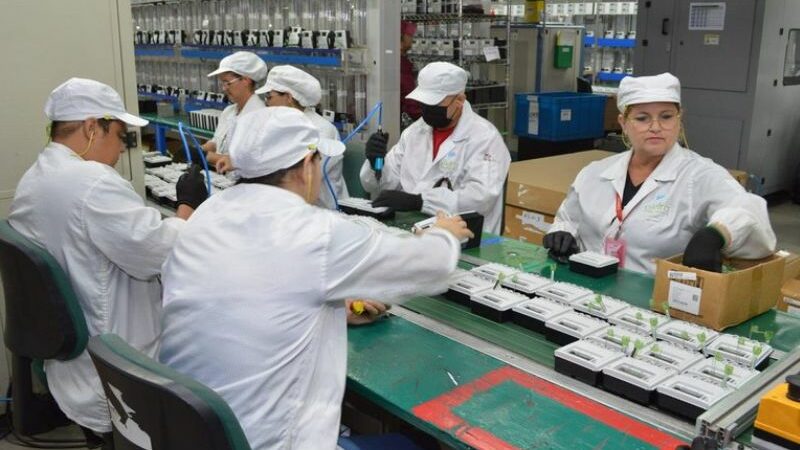 Emprego com carteira assinada é recorde de 39,351 milhões de trabalhadores