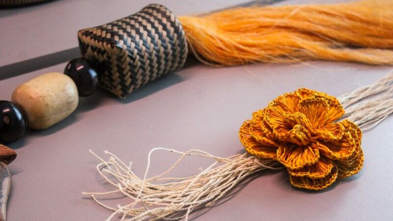 Insumos amazônicos fortalecem moda e geração de renda