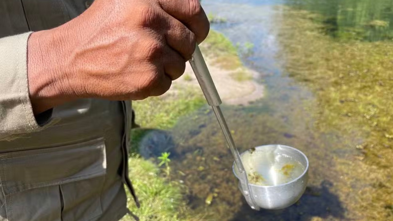 Casos de malária caem 17,9% no Amazonas, mas territórios indígenas seguem os mais atingidos