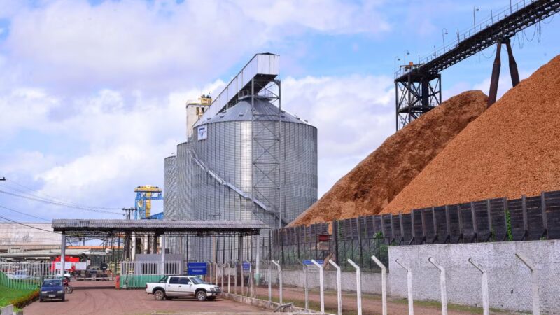 Porto de Santana se firma como rota para exportar soja do país