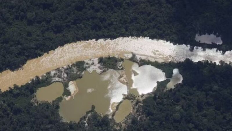 Quatro viram réus por garimpo clandestino de cassiterita no Parque Nacional Mapinguari
