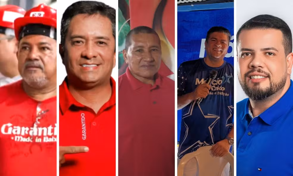 Eleições dos bois Caprichoso e Garantido acontecem neste domingo em Manaus e Parintins; confira