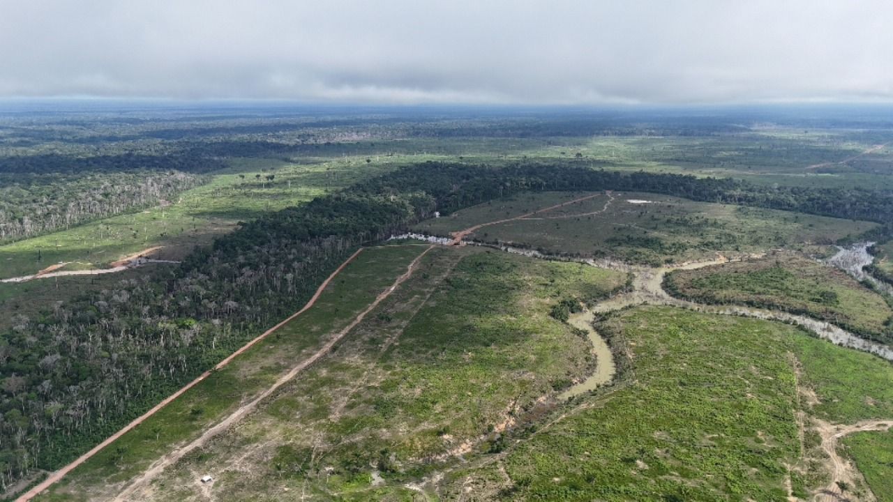 Desmatamento no Amazonas cai 27% em 2026, mas áreas protegidas seguem sob pressão